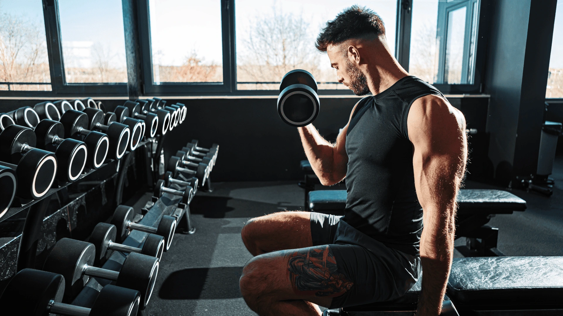 13 Exercícios com Halteres Para Um Treino Completo em Casa